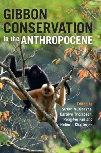 Gibbon Conservation In The Anthropocene