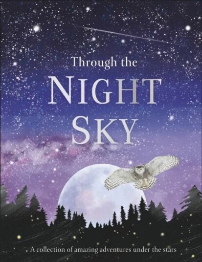 Through The Night Sky Av Dk