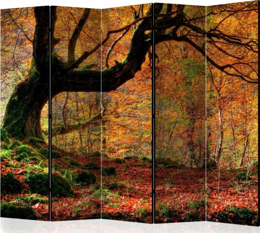 Romdeler - Autumn forest and leaves II 225x172 - Artgeist sp. z o. o.