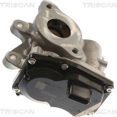 EGR ventil TRISCAN 8813 10116
