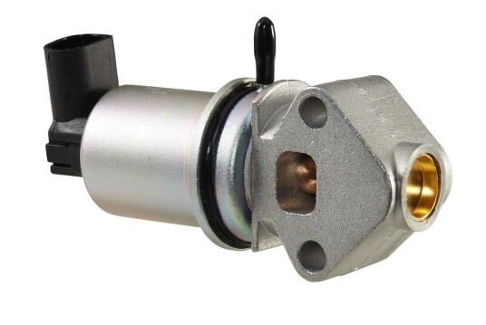 EGR Ventil HELLA 6NU 010 171-351