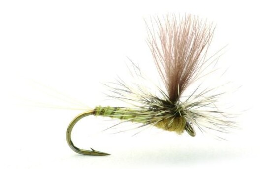 Umpqua Flies Biot Dun Olive