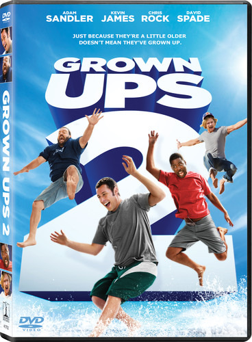 Grown Ups 2 DVD