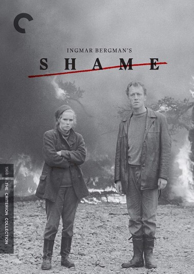 Shame DVD Shame DVD