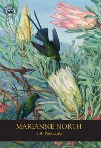 Royal Botanic Gardens Kew Marianne North 100 Postcards (1842466844)