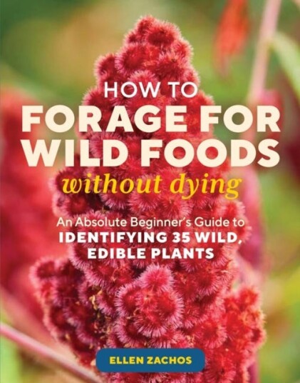 How To Forage For Wild Foods Without Dying Av Ellen Zachos