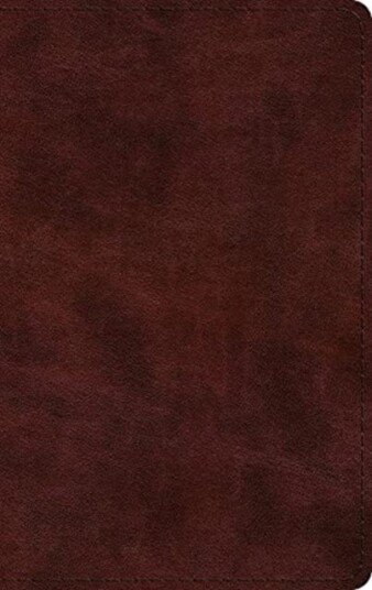 ESV Large Print Thinline Bible