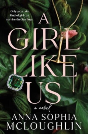 A Girl Like Us A Novel