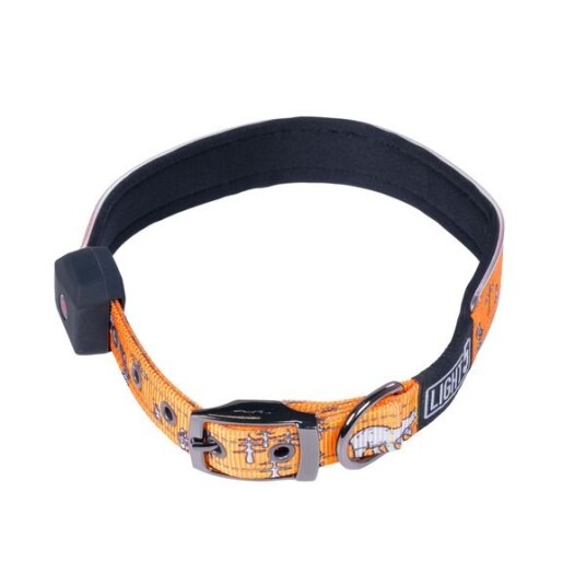 Hundehalsbånd Light5 Doggo Led Collar Oransje S Hundehalsbånd Light5 Doggo Led Collar Oransje S