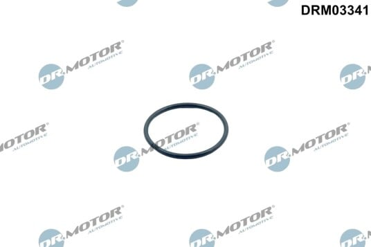 DR.MOTOR AUTOMOTIVE DRM03341 Pakning, termostat