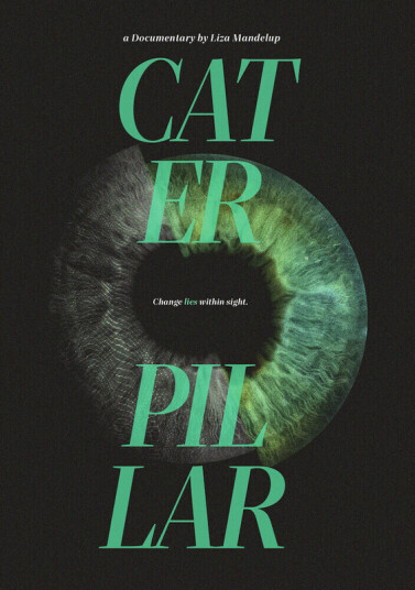 Caterpillar DVD