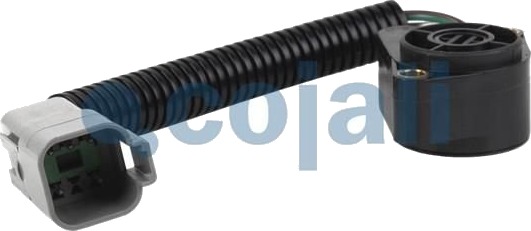 Sensor COJALI 2260209