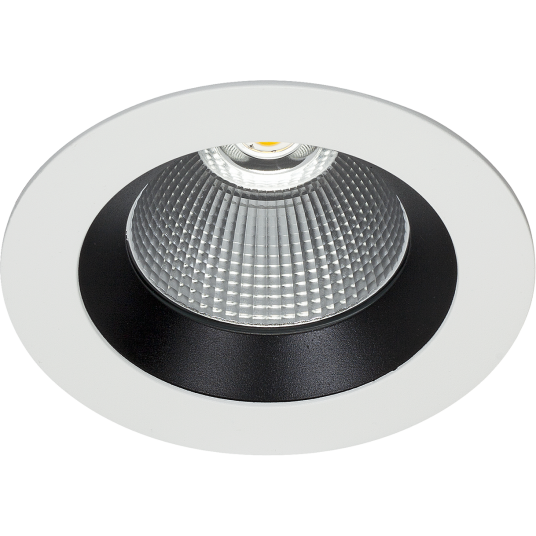 Easyform Silver Downlight standard 30W Belysning