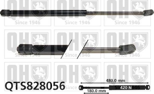 QUINTON HAZELL QTS828056 Baklukedemper
