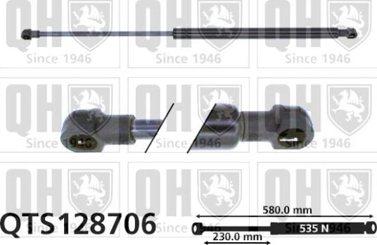 QUINTON HAZELL QTS128706 Baklukedemper