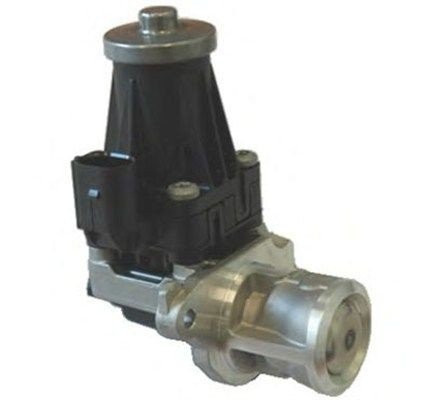 EGR Ventil MAGNETI MARELLI 571822112072