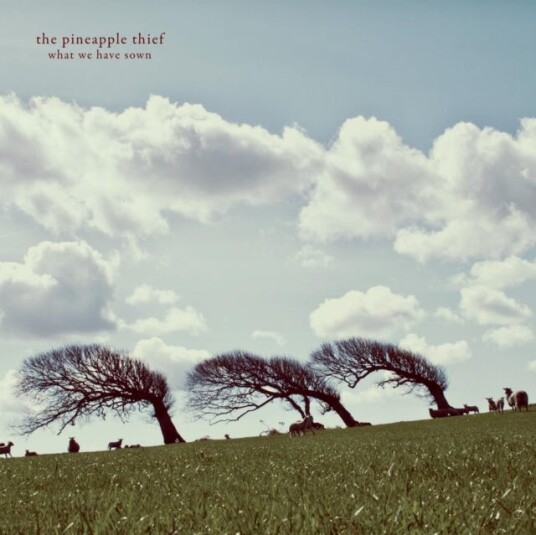 The Pineapple Thief What We Have Sown LP/Vinyl The Pineapple Thief What We Have Sown LP/Vinyl