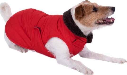 Hundejakke Steppmuster Ca. 60 cm Rygglengde