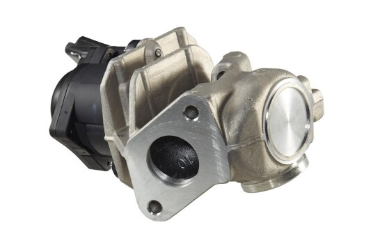 EGR Ventil HELLA 6NU 010 171-111 EGR Ventil HELLA 6NU 010 171-111
