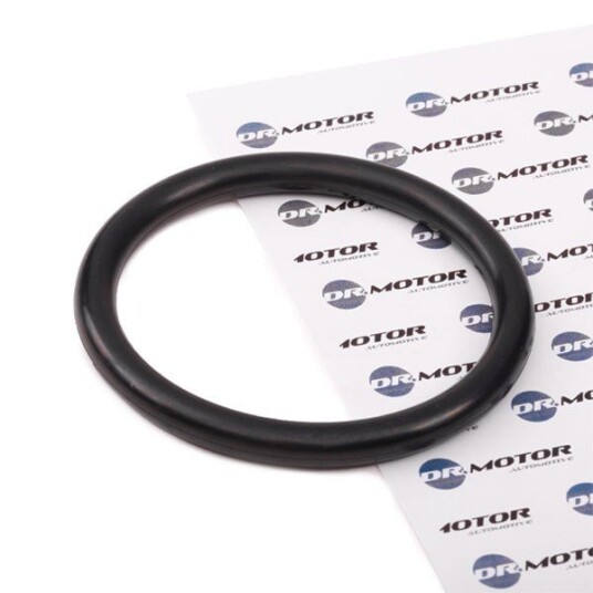Tetning innsugningsmanifold Dr.Motor Automotive DRM025