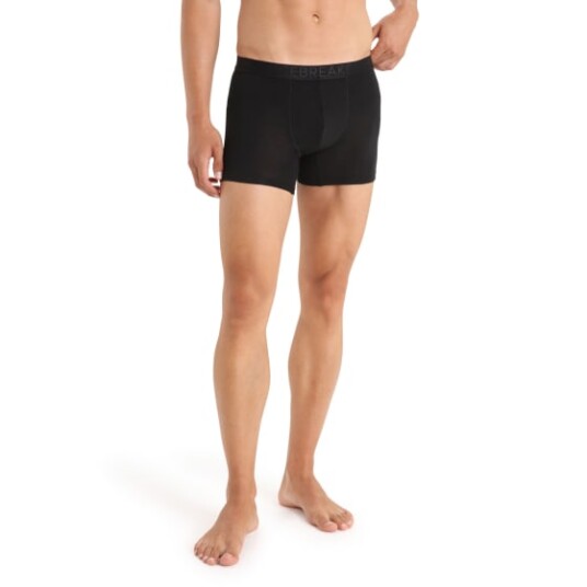 Icebreaker Men's 125 Cool-Lite Anatomica Boxers Black S