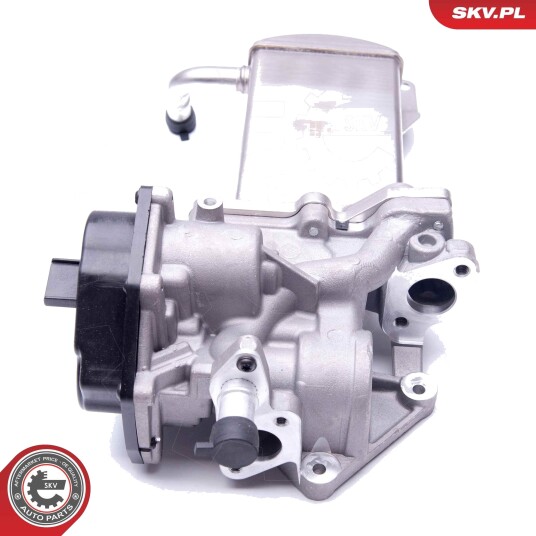 EGR ventil ESEN SKV 14SKV151