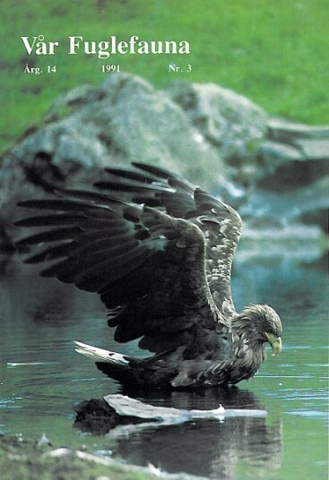 Norsk Ornitologisk Forening Vår Fuglefauna   1991 3 årgang 14