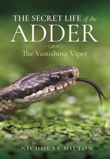 The Secret Life of the Adder  The Vanishing Viper