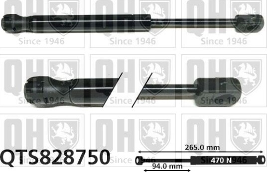 QUINTON HAZELL QTS828750 Baklukedemper