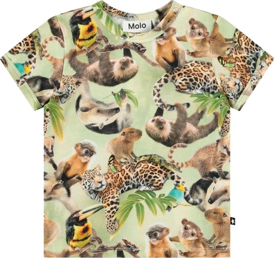 Molo T skjorte Easy Jungle Unger Molo 3 år (98) T skjorte Grønn