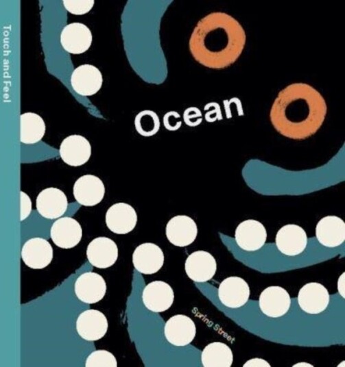 Spring Street Touch and Feel: Ocean Spring Street Touch and Feel: Ocean