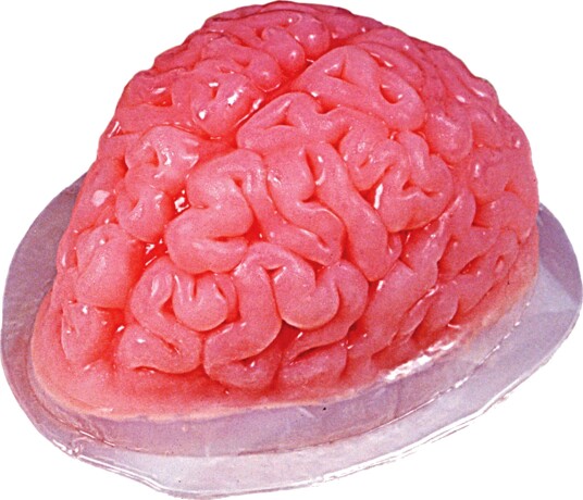 Gelatinform Hjerne