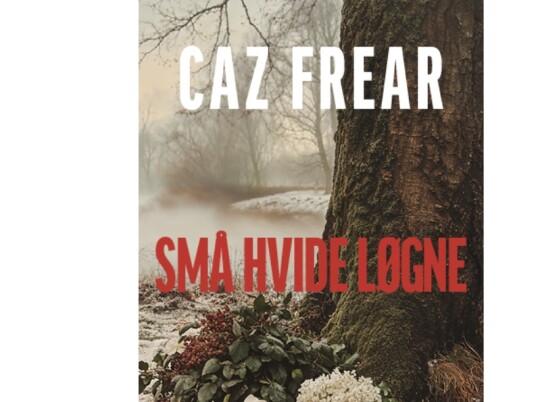 Små Hvite Løgner | Caz Frear | Språk: Dansk