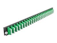 Delock - Fiber-Optic Splice Box Rack Mount Panel - Front - Lc Sm X 24 - Grønn - 1U - 19"