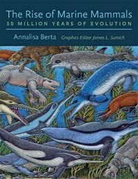 The Rise Of Marine Mammals Av Annalisa (Professor San Diego State University) Berta