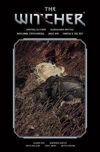 The Witcher Library Edition Volume 2 Av Bartosz Sztybor, Aleksandra Motyka, Marianna Strychowska