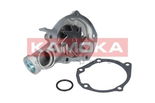 KAMOKA T0209 Vannpumpe