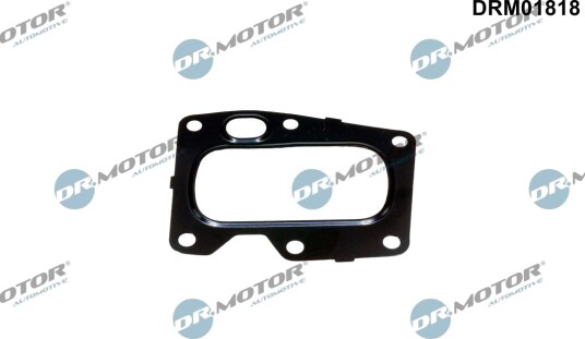 DR.MOTOR AUTOMOTIVE DRM01818 Tetning, EGR-ventil