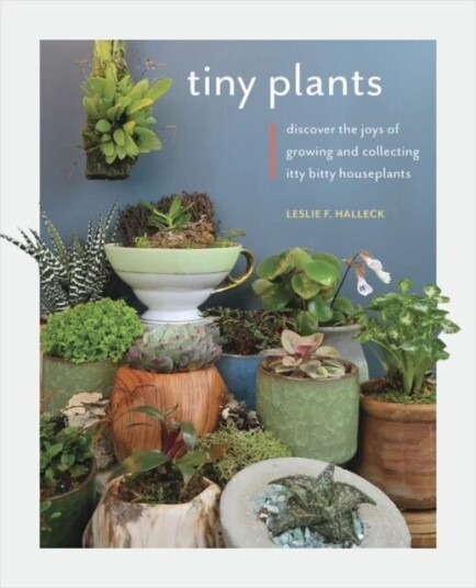 Tiny Plants Av Leslie F. Halleck