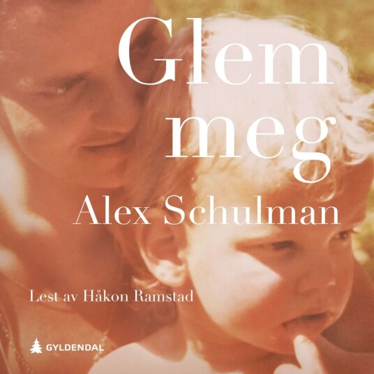 Glem Meg Av Alex Schulman