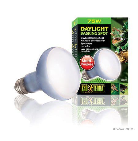 Exoterra Daylight Basking Spot 75W R20 E27 Green (220.2720) Exoterra Daylight Basking Spot 75W R20 E27 Green (220.2720)