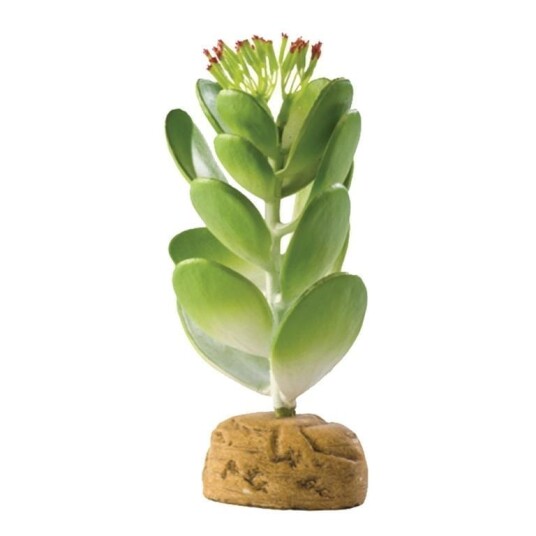 Exo Terra Jadekaktus 10.5X10.5X15Cm