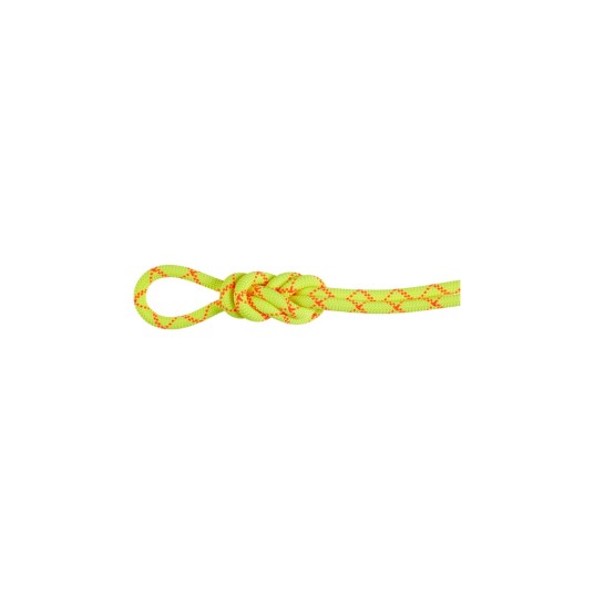 Mammut 9.5 Alpine Core Protect Dry Rope 80m Halo vibrant Orange One size Mammut 9.5 Alpine Core Protect Dry Rope 80m Halo vibrant Orange One size