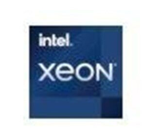 Intel Xeon E-2388G / 3.2 GHz processor Prosessor/CPU - 8 kjerner - 3.2 GHz - Intel LGA1200 - Bulk (uten vifte)