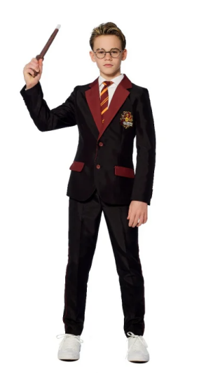 Suitmeister Boys Harry Potter Gryffindor S