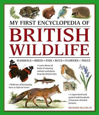 My First Encyclopedia of British Wildlife  Mammals, Birds, Fish, Bugs, Flowers, Trees