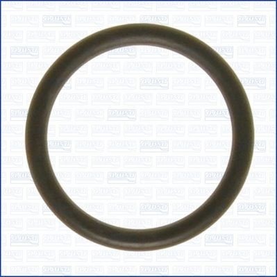 Tetningsring AJUSA 16063000