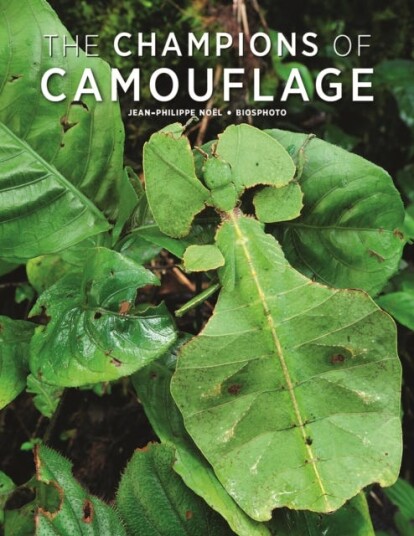 Champions of Camouflage Champions of Camouflage
