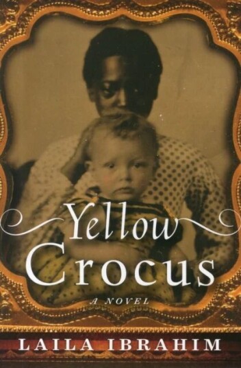 Yellow Crocus Av Laila Ibrahim
