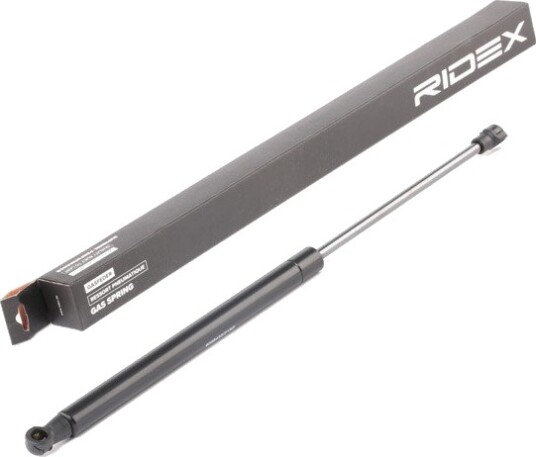 RIDEX 219G0363 Baklukedemper